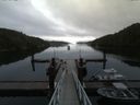 ./images/calvert/dock/20160809/dock20160809_085004.jpg