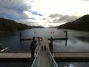 ./images/calvert/dock/20160810/dock20160810_104503.jpg