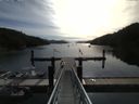 ./images/calvert/dock/20160812/dock20160812_093504.jpg