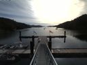 ./images/calvert/dock/20160812/dock20160812_094004.jpg