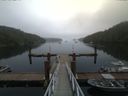 ./images/calvert/dock/20160813/dock20160813_083502.jpg