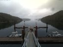 ./images/calvert/dock/20160815/dock20160815_084503.jpg