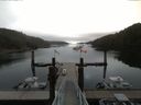 ./images/calvert/dock/20160820/dock20160820_091004.jpg