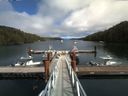 ./images/calvert/dock/20160820/dock20160820_145003.jpg