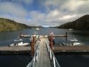 ./images/calvert/dock/20160820/dock20160820_151004.jpg