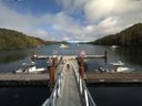 ./images/calvert/dock/20160820/dock20160820_151502.jpg
