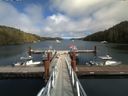 ./images/calvert/dock/20160820/dock20160820_152004.jpg