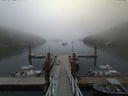 ./images/calvert/dock/20160820/dock20160820_191504.jpg