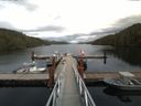 ./images/calvert/dock/20160821/dock20160821_155004.jpg