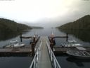 ./images/calvert/dock/20160821/dock20160821_165502.jpg