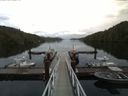 ./images/calvert/dock/20160821/dock20160821_170504.jpg