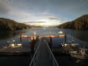 ./images/calvert/dock/20160826/dock20160826_185501.jpg
