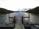 ./images/calvert/dock/20160829/dock20160829_063004.jpg