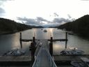 ./images/calvert/dock/20160829/dock20160829_070502.jpg