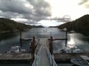 ./images/calvert/dock/20160829/dock20160829_074004.jpg