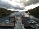 ./images/calvert/dock/20160829/dock20160829_074504.jpg
