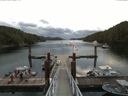 ./images/calvert/dock/20160829/dock20160829_075502.jpg