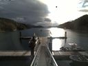 ./images/calvert/dock/20160829/dock20160829_090502.jpg