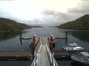 ./images/calvert/dock/20160829/dock20160829_154001.jpg