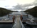 ./images/calvert/dock/20160830/dock20160830_142501.jpg