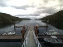 ./images/calvert/dock/20160830/dock20160830_152501.jpg