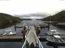 ./images/calvert/dock/20160831/dock20160831_112004.jpg