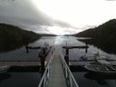 ./images/calvert/dock/20160901/dock20160901_143004.jpg