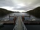 ./images/calvert/dock/20160905/dock20160905_163003.jpg