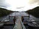 ./images/calvert/dock/20160906/dock20160906_065501.jpg