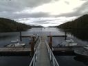 ./images/calvert/dock/20160907/dock20160907_172504.jpg