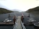 ./images/calvert/dock/20160909/dock20160909_154004.jpg
