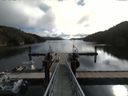 ./images/calvert/dock/20160911/dock20160911_104504.jpg