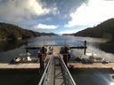 ./images/calvert/dock/20160912/dock20160912_110502.jpg