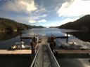 ./images/calvert/dock/20160912/dock20160912_111004.jpg