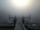 ./images/calvert/dock/20160913/dock20160913_080503.jpg