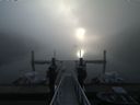 ./images/calvert/dock/20160914/dock20160914_081003.jpg