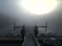 ./images/calvert/dock/20160914/dock20160914_083002.jpg