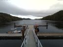 ./images/calvert/dock/20160915/dock20160915_121502.jpg