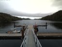 ./images/calvert/dock/20160915/dock20160915_122004.jpg