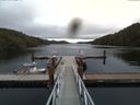 ./images/calvert/dock/20160915/dock20160915_125001.jpg