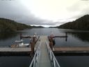 ./images/calvert/dock/20160915/dock20160915_131504.jpg