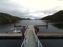 ./images/calvert/dock/20160915/dock20160915_132004.jpg