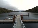 ./images/calvert/dock/20160915/dock20160915_132503.jpg