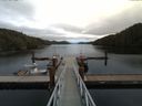 ./images/calvert/dock/20160915/dock20160915_134002.jpg
