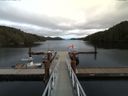 ./images/calvert/dock/20160915/dock20160915_134504.jpg