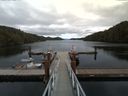 ./images/calvert/dock/20160915/dock20160915_140504.jpg