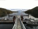 ./images/calvert/dock/20160917/dock20160917_123502.jpg