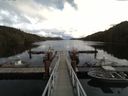 ./images/calvert/dock/20160917/dock20160917_124502.jpg