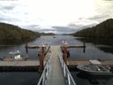 ./images/calvert/dock/20160917/dock20160917_155502.jpg