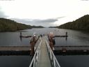 ./images/calvert/dock/20160918/dock20160918_160504.jpg